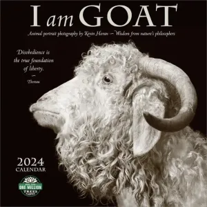 Amber Lotus I Am Goat 2024 Wall Calendar By Kevin Horan