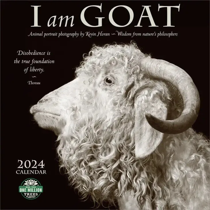 Amber Lotus I Am Goat 2024 Wall Calendar By Kevin Horan
