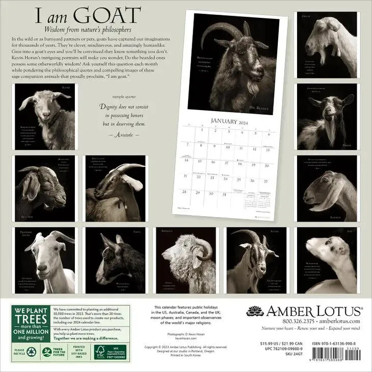 Amber Lotus I Am Goat 2024 Wall Calendar By Kevin Horan