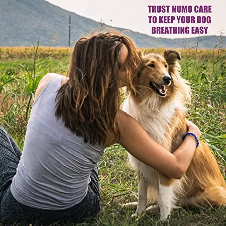 Amber Naturalz Numo Care: Breathe Easy - for Dogs, 1 Ounce