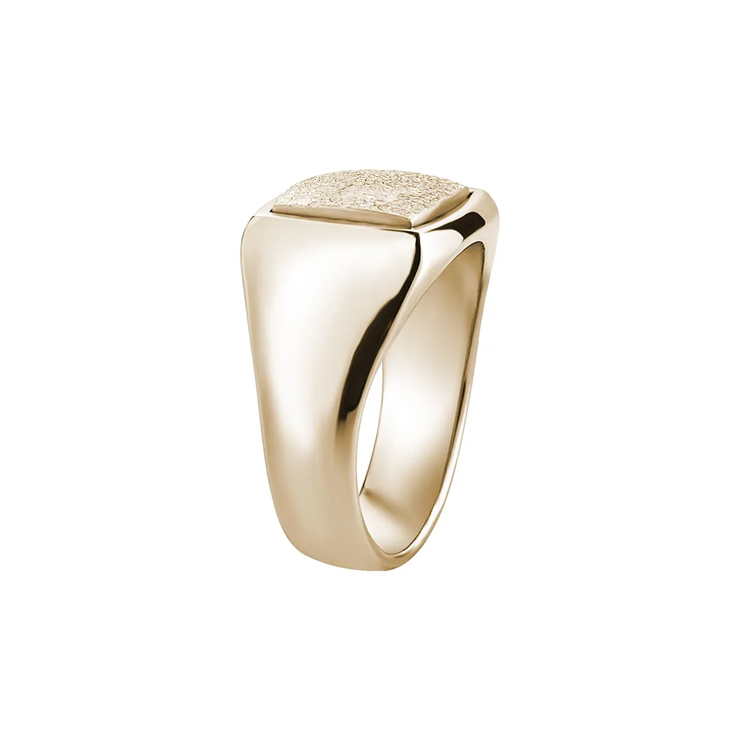 Hammered Square Signet Ring in Gold