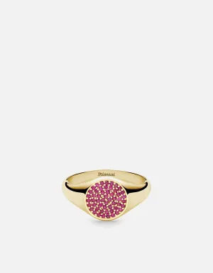 Horizon Signet Ring, 14k Gold/Ruby