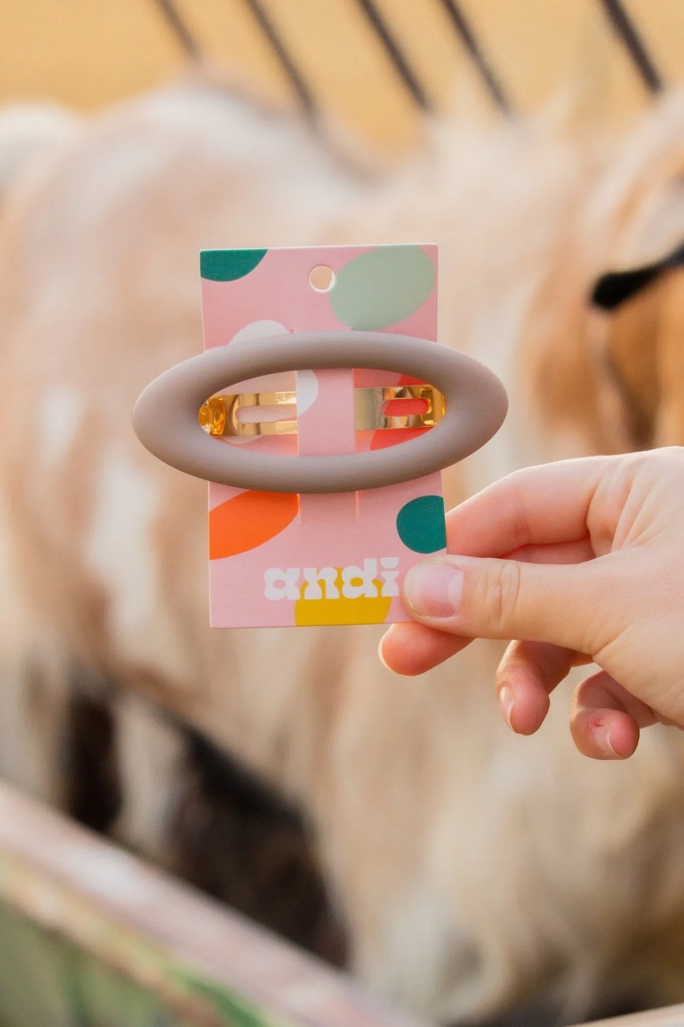 Oval Barrette - Multiple Colors